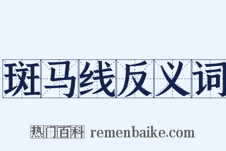 斑马线反义词是什么意思的图片